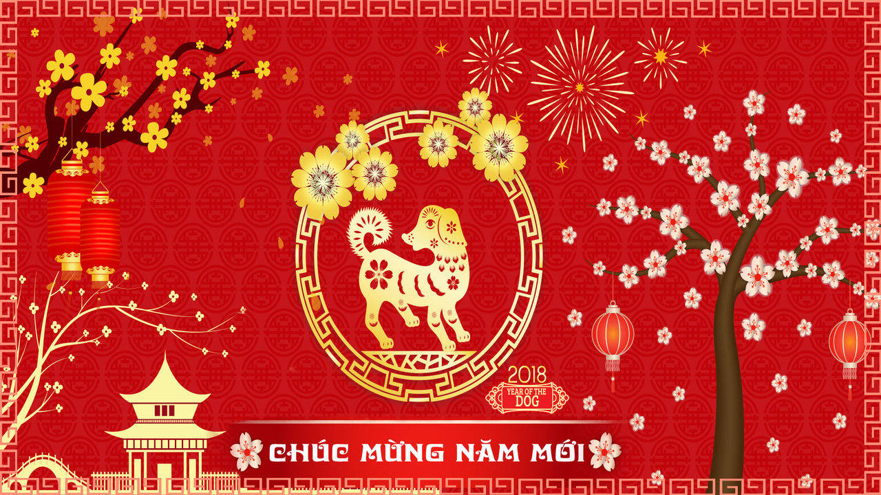 Dịch vụ giúp việc tết 2018 hàng đầu Hà Nội - Giúp việc An Tâm